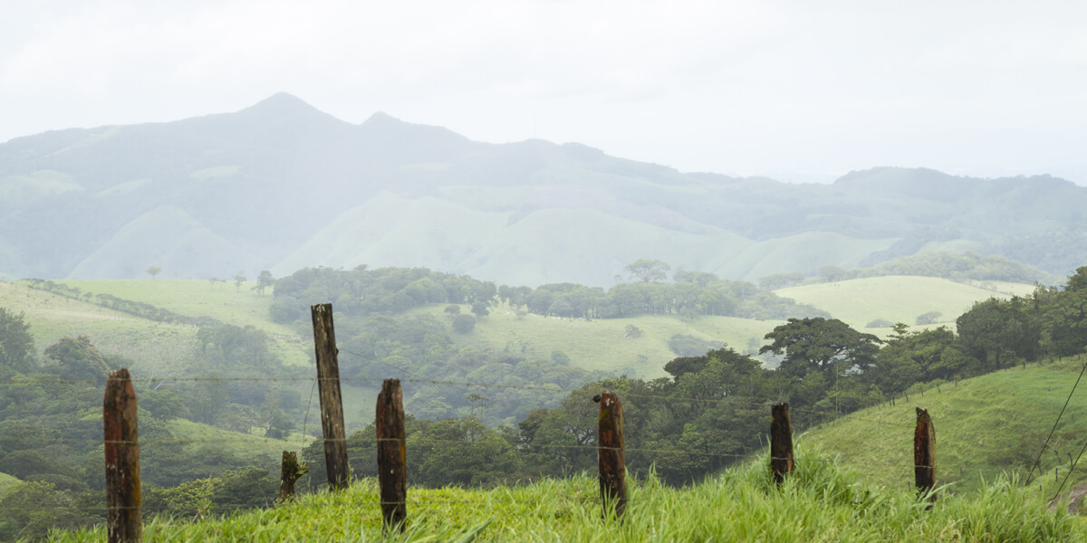 ASOCARBONO se reúne para presentar propuesta para el Plan Nacional de Desarrollo en el 2023