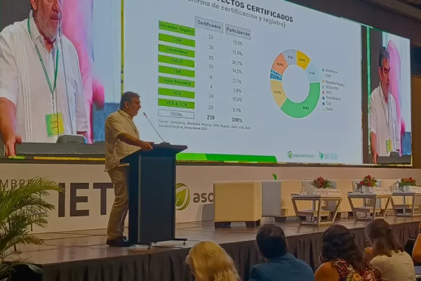 asocarbono cumbre clima