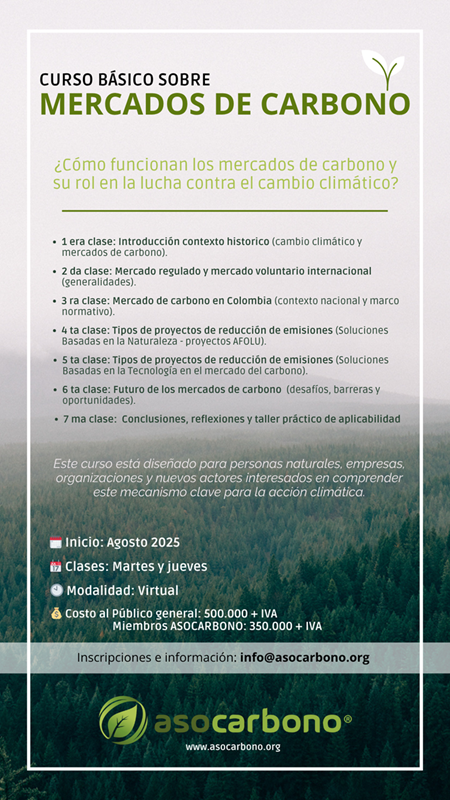 informacion de curso 2025