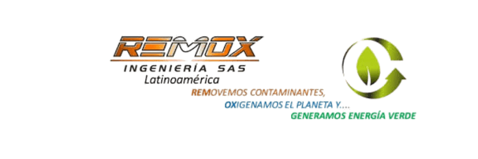 logo remox