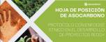 HdP Protocolo con enfoque étnico